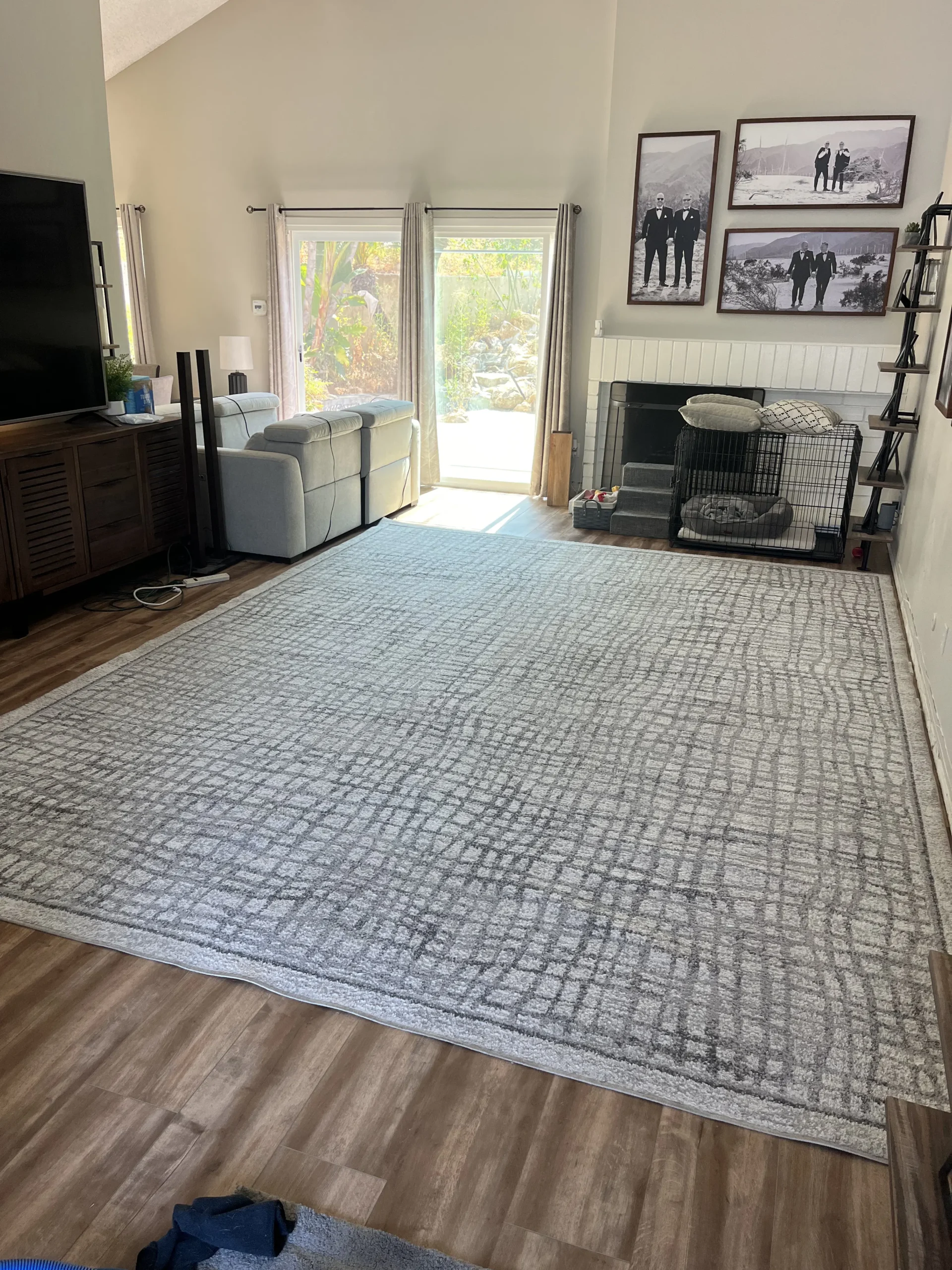 Carpet Cleaning for Pet Stains & Odors in Raleigh, NC
