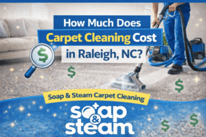 How Much Does Carpet Cleaning Cost in Raleigh, NC