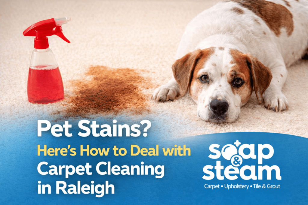 How to Deal with Carpet Cleaning in Raleigh