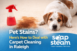 How to Deal with Carpet Cleaning in Raleigh