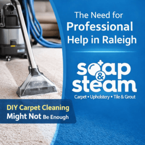 Why DIY Carpet Cleaning Might Not Be Enough The Need for Professional Help in Raleigh