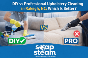 DIY vs Professional Upholstery Cleaning in Raleigh NC