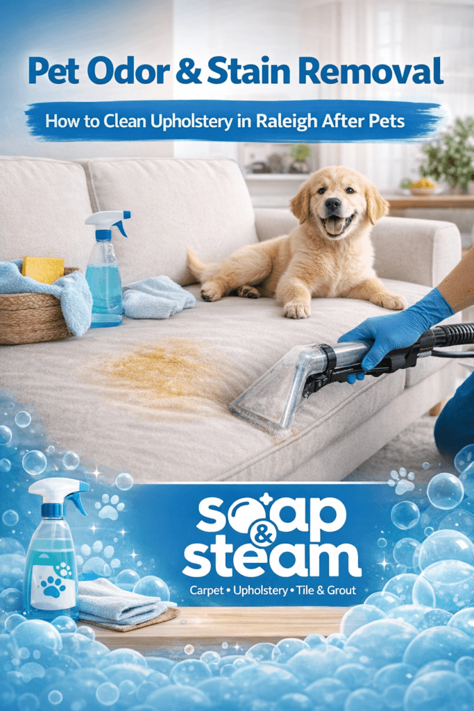 Pet Odor & Stain Removal How to Clean Upholstery in Raleigh After Pets