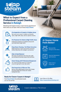 Professional Carpet Cleaning Service in Raleigh NC