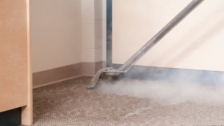 is dry cleaning or steam cleaning carpet better