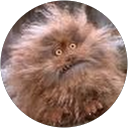 Kelly Revill profile picture