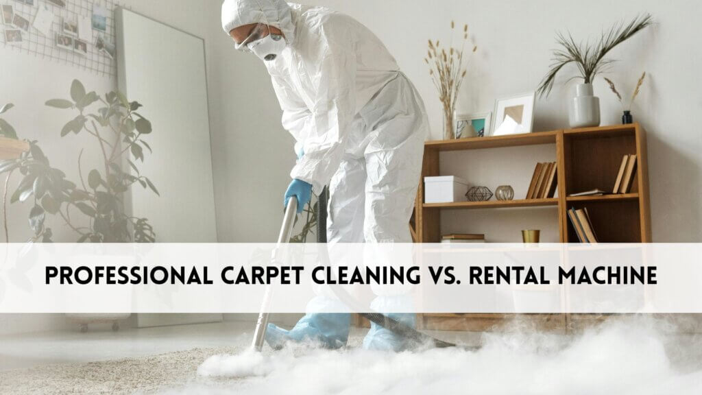 professional carpet cleaning vs rental