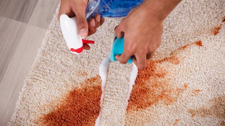 How Often Should You Get Your Carpets Professionally Cleaned